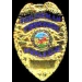 TORRANCE, CA POLICEMAN POLICE DEPARTMENT MINI BADGE PIN